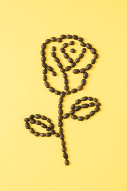 Gül sarı arka planda kahve çekirdeklerinden yapılmıştır. Minimum kadın günü konsepti. Yaratıcı düz arkaplan tasarımı.