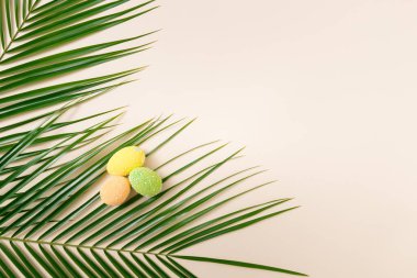 Kumlu kağıtta renkli Paskalya yumurtaları olan tropik palmiye yaprakları. Minimum düz yaz kompozisyonu.