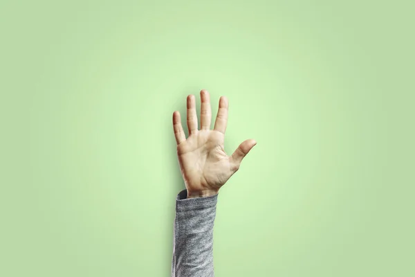 Vrouw Arm Gebaar Met Open Hand Geïsoleerd Groene Achtergrond Begrip — Stockfoto