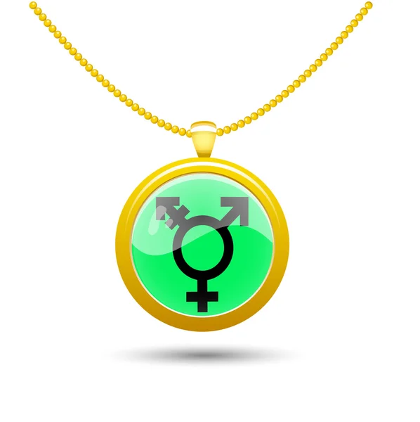 Medál a nyak meleg szimbóluma Szivárvány zászló, izraeli transznemű és genderqueer Közösség — Stock Vector
