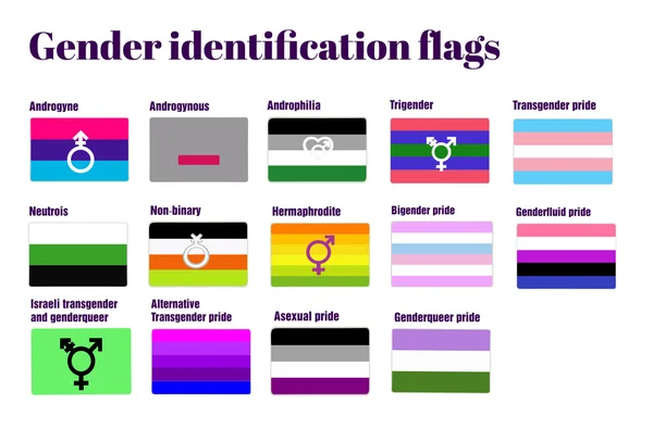 LGBT Gay, düz vektör çizim, Eşcinsel çift gurur işaretler. Cinsiyet kimliği bayrakları — Stok Vektör