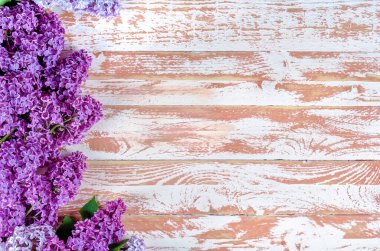 İki demet eflatun, mor, mor ağaç dalı kahverengi arkaplan üzerinde yatar..