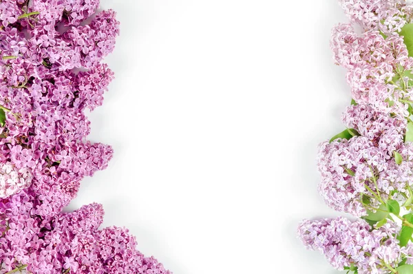 Два Букета Лиловых Деревьев Фиолетового Фиолетового Цвета Лежат Столе Белом — стоковое фото
