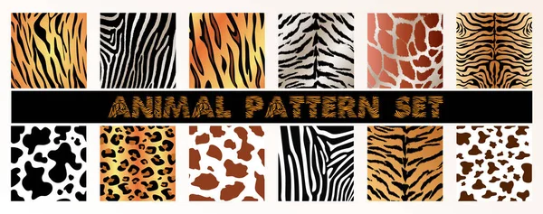 Modèle Texture Animale Pour Impression Vêtements Emballage Papier Peint — Image vectorielle