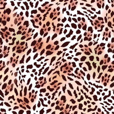 Çita leoparı büyük kedi deseni 3. Vektör illüstrasyonu