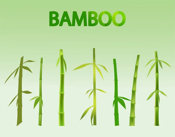 Green Bamboo Vector Element Set — Stock Vector