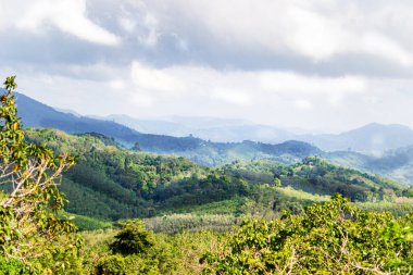 Phuket, Tayland, körfez manzaralı.