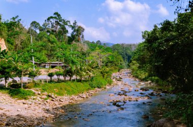 Dağlarda bir nehir, ormanlarda bir nehir, nehirler akar, taşlar, doğa.