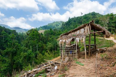 Manzara, Manzara, Orman, Dağlar, Doğa