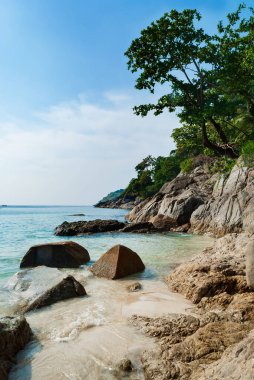 Plaj, Kayalar, Deniz, Ağaçlar, Phuket, Tayland