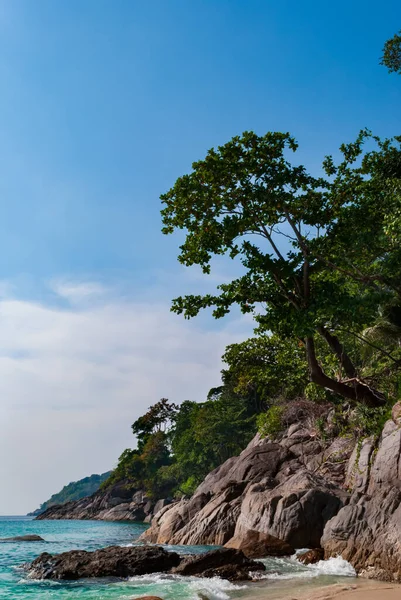 泰国，海滩、岩石、海洋、树木、普吉 — 图库照片