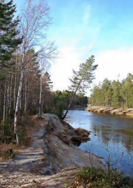 Ormandaki nehir, Sonbahar, Orman, Ağaçlar, Su