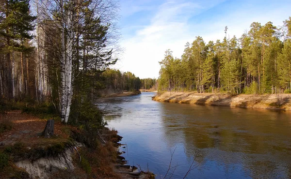 Rivière dans la forêt, Automne, Forêt, Arbres, Eau — Photo