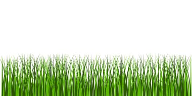 Beyaz arkaplanda izole edilmiş yeşil çimlerin vektör görüntüsü