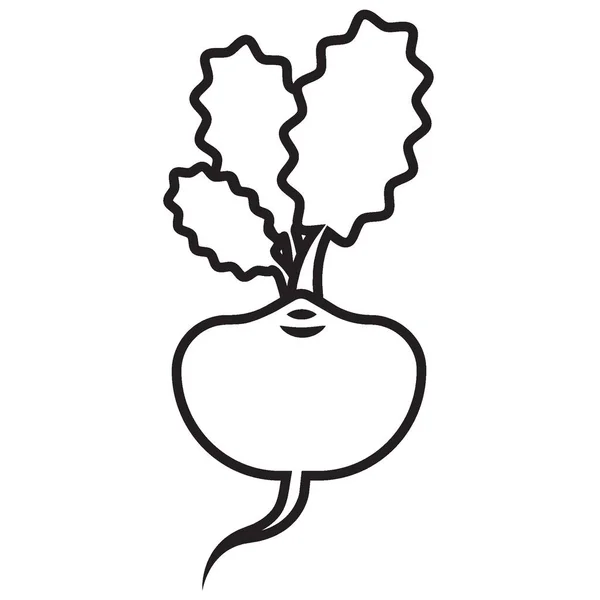 Простое Линейное Векторное Изображение Рисунок Абстрактного Логотипа Иконка Репы Редис — стоковое фото