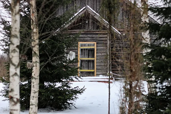 house in forest Winter