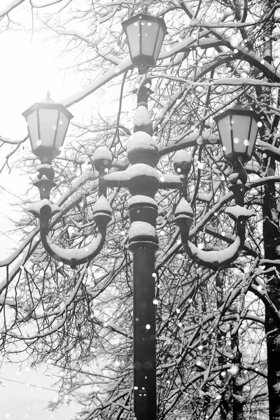 Street iron lamp winter — Stock Photo, Image