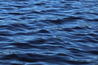 doku Gölü sammer dalgaların