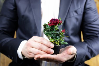 El takım elbise yükseldi