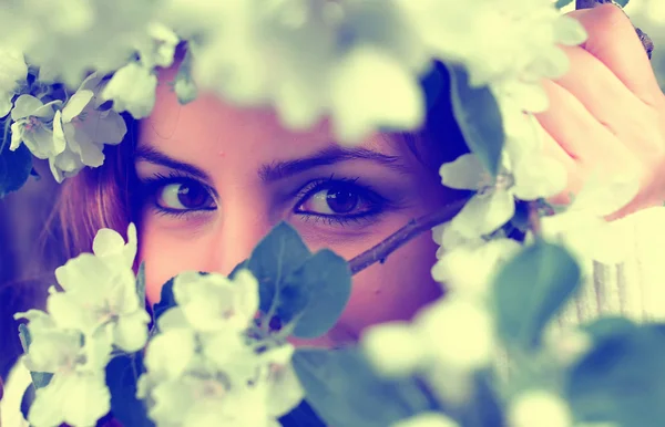 Женский глаз в цветке ветки дерева — стоковое фото