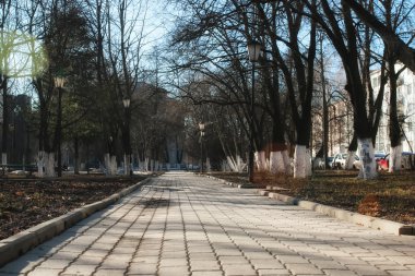 Bahar parkında tezgah