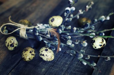 yumurta dal willow ahşap arka plan