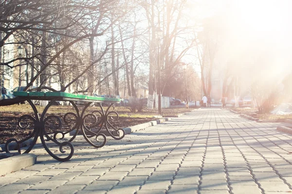 Banco de atardecer en el parque de primavera —  Fotos de Stock