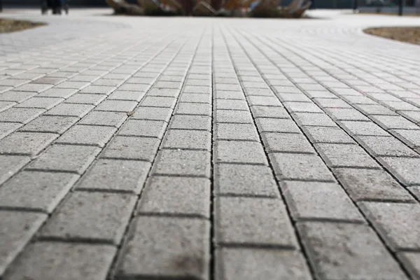 Paved cobblestone pavement — Stock Photo, Image