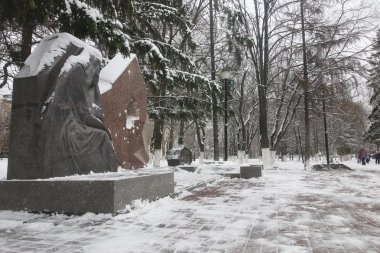 Park kış ağaçları ve patika