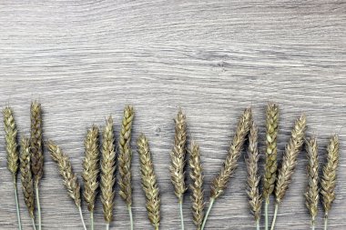 Çavdar tuval üzerine kulakları buket