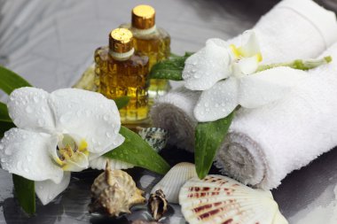 Spa orkidesi yeşil havlusu