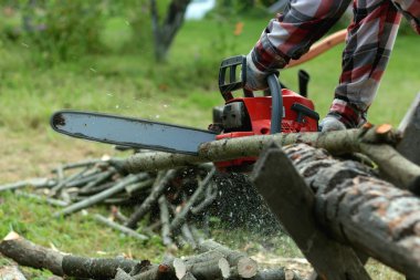 ahşap Chainsaw çalışma doğrayın