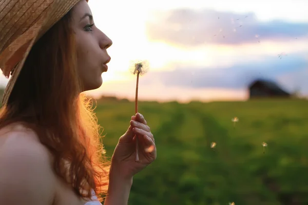 Gadis saat matahari terbenam meniup dandelion — Stok Foto
