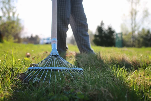 Harken, um altes Gras zu sammeln — Stockfoto