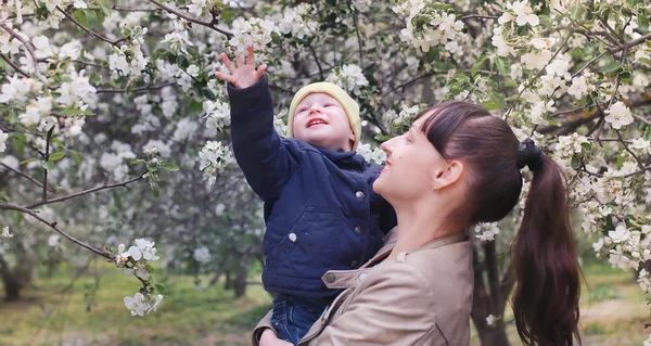 Mamma con bambino nel giardino delle mele — Foto Stock