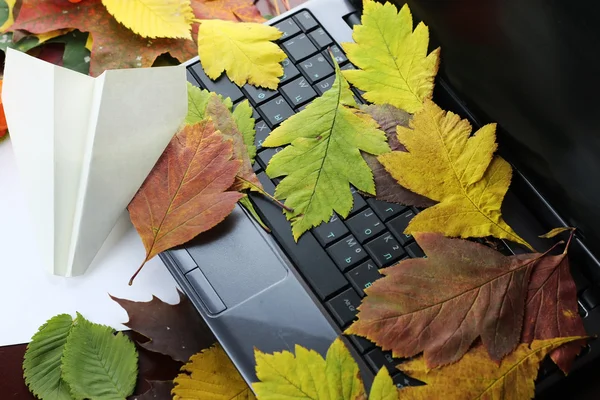 arka plan bilgisayar sonbahar yaprakları