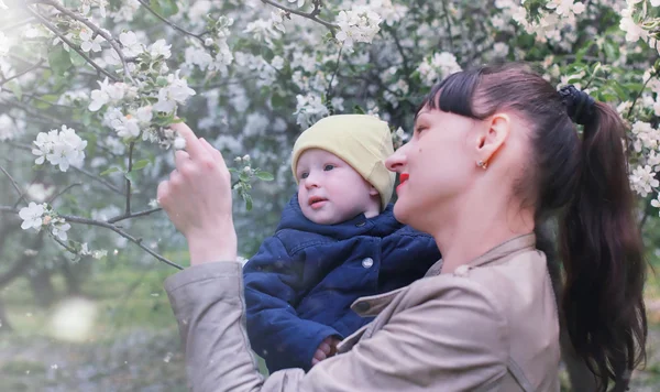 Madre con el bebé en el jardín de manzana — Foto de Stock