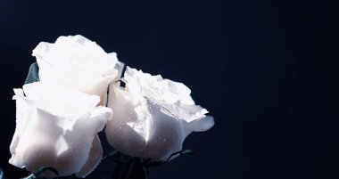 Bir buket taze çiçek. Sevdiğine bayram hediyesi. Sevgililer Günü arkaplanı. Gül, lale, Iris çiçek aranjmanı.