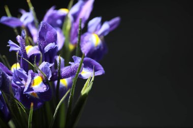 Bir buket taze çiçek. Sevdiğine bayram hediyesi. Sevgililer Günü arkaplanı. Gül, lale, Iris çiçek aranjmanı.