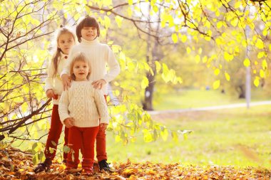 Genç bir aile güneşli bir günde sonbahar parkında yürüyüş yapıyor. Birlikte olmanın mutluluğu..