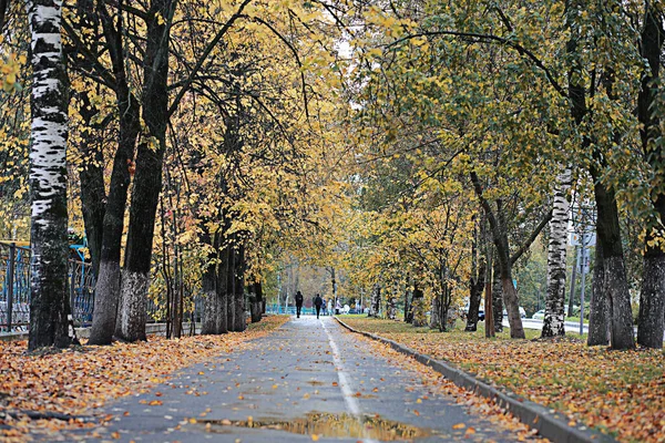 Осінній Дощ Парку Під Час — стокове фото