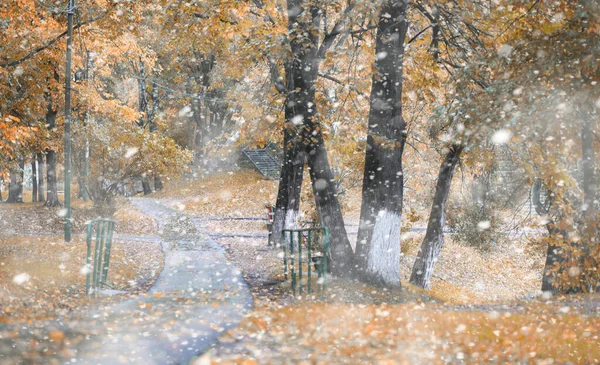 最初のスノの日の秋の公園 — ストック写真