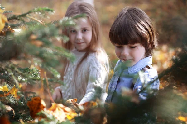 Jonge Familie Een Wandeling Het Herfstpark Zonnige Dag Geluk Samen — Stockfoto