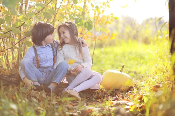 Genç Bir Aile Güneşli Bir Günde Sonbahar Parkında Yürüyüş Yapıyor — Stok fotoğraf