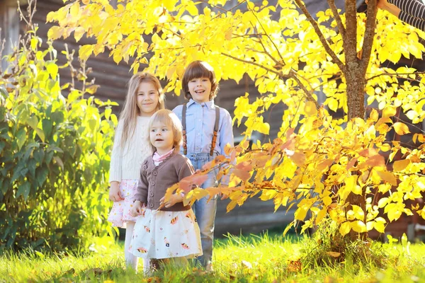Ung Familj Promenad Höstparken Solig Dag Lycka Att Vara Tillsammans — Stockfoto
