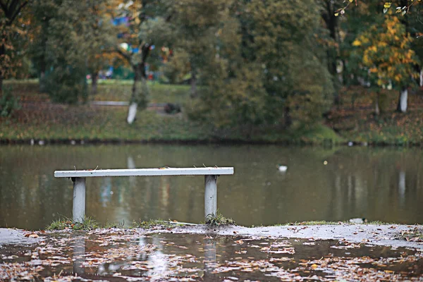 Jesienny Deszcz Parku Podczas — Zdjęcie stockowe