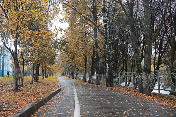 Herbstregen Park Der Nacht — Stockfoto