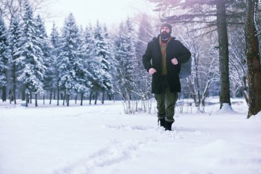 Kış ormanlarında sakallı adam. Çekici, mutlu, sakallı genç bir adam parkta yürüyor..