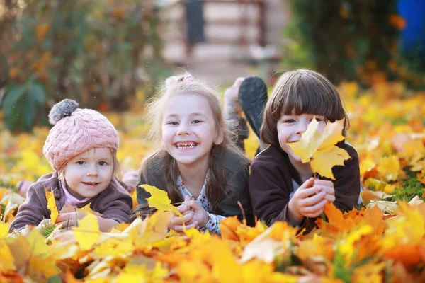 Familia Joven Paseo Por Parque Otoño Día Soleado Felicidad Estar —  Fotos de Stock