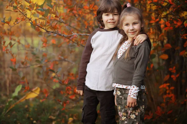 Genç Bir Aile Güneşli Bir Günde Sonbahar Parkında Yürüyüş Yapıyor — Stok fotoğraf